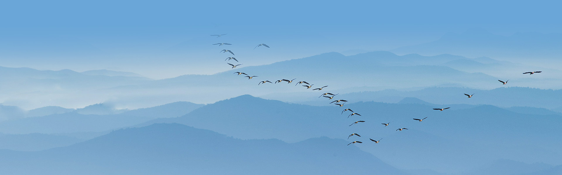 企業(yè)經(jīng)營管理重大事項(xiàng)